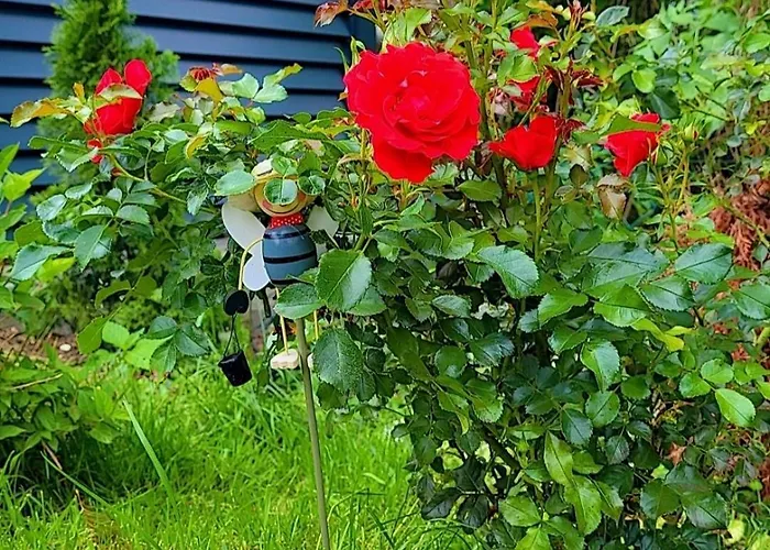 Noor Lux Appartement