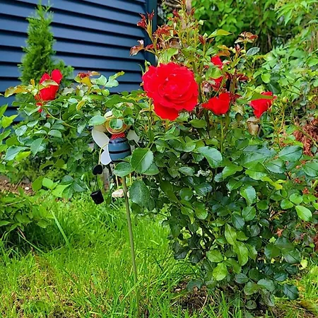 Noor Lux Apartamento